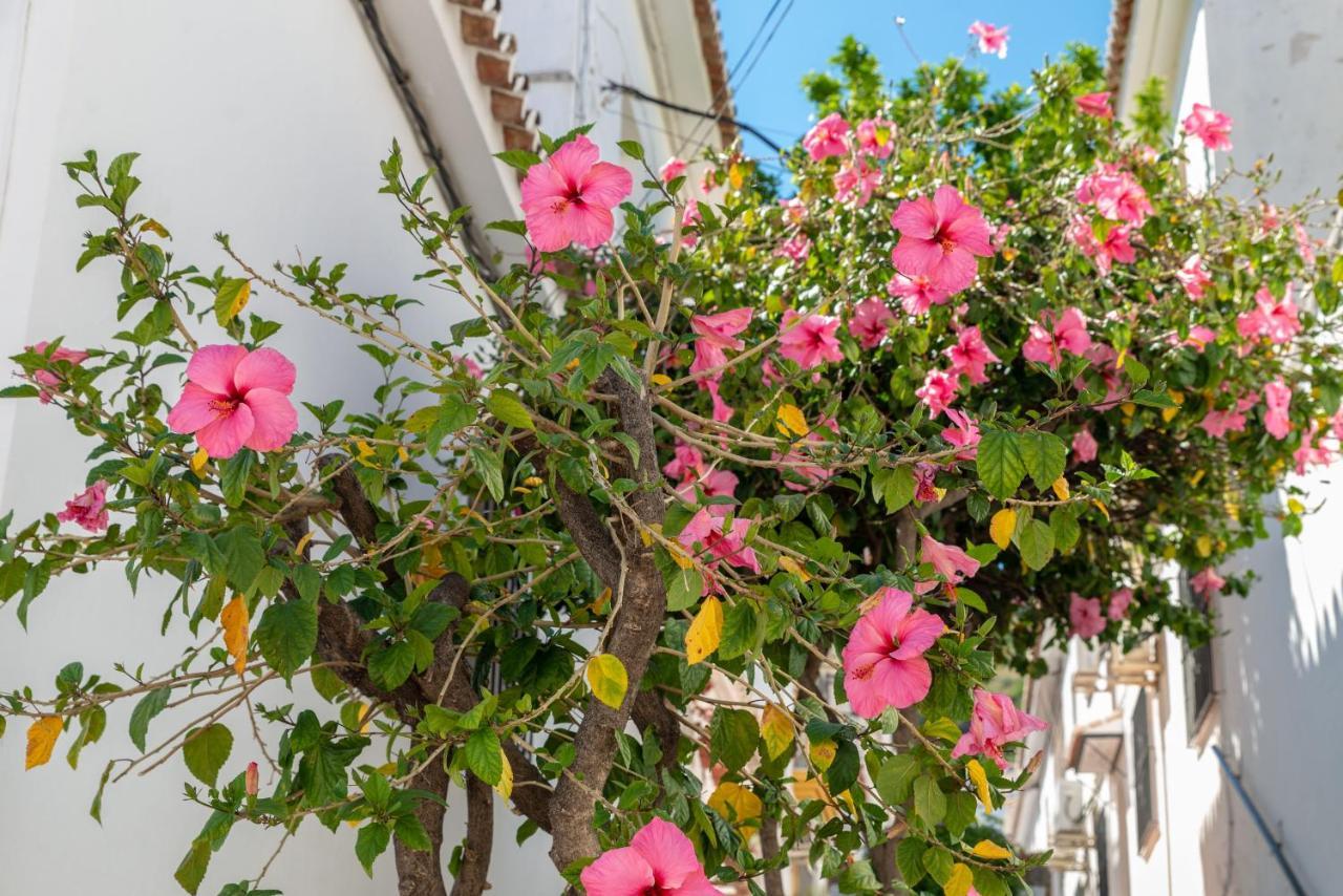 Lovely Cozy 2-Bedroom Residential Home With Patio Benalmadena Ngoại thất bức ảnh